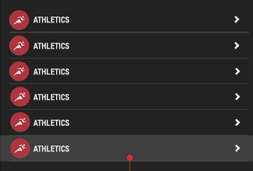 The By Sport drill-down state: a scrollable list of sport rows, each with a discipline icon and a forward chevron.
